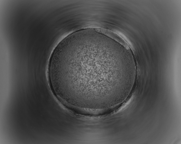 X0000095120901200712141133