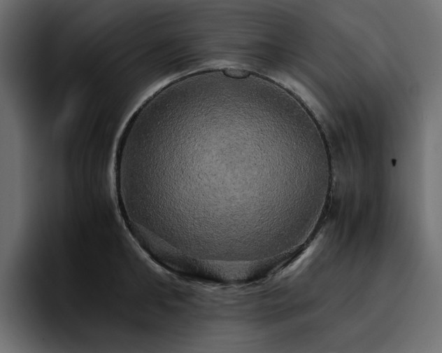 X0000095120902200712141133