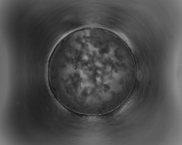 X0000095120903200712141133