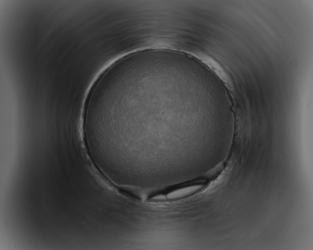 X0000095120904200712141133