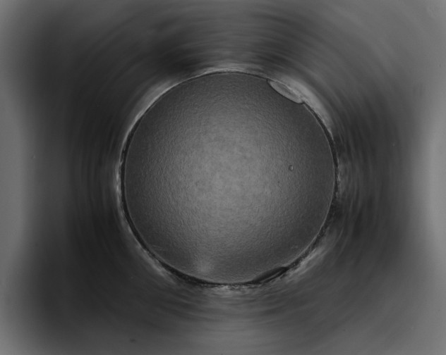 X0000095120906200712141133