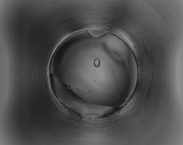 X0000095120907200712141133