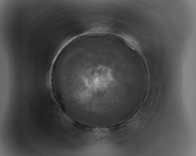 X0000095120912200712141133