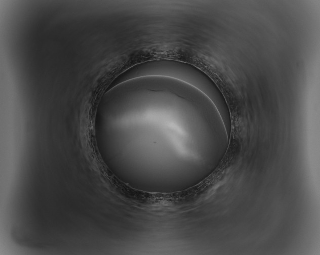 X0000095120913200712141133