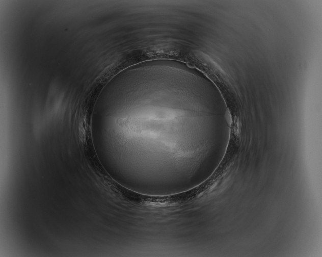 X0000095120915200712141133