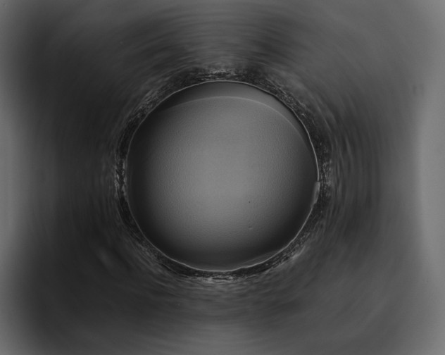 X0000095120916200712141133