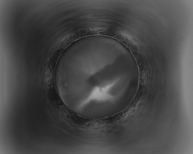 X0000095120917200712141133