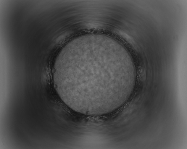 X0000095120918200712141133