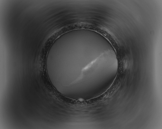 X0000095120919200712141133