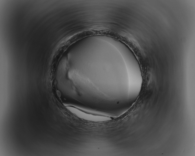 X0000095120920200712141133