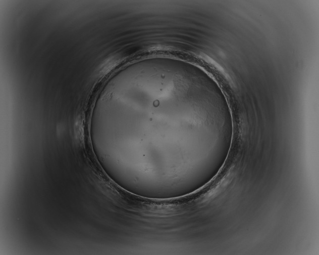 X0000095120921200712141133