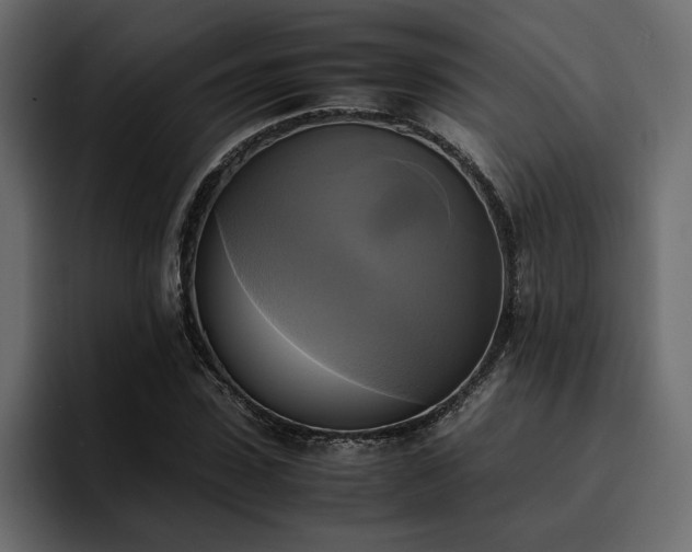 X0000095120923200712141133