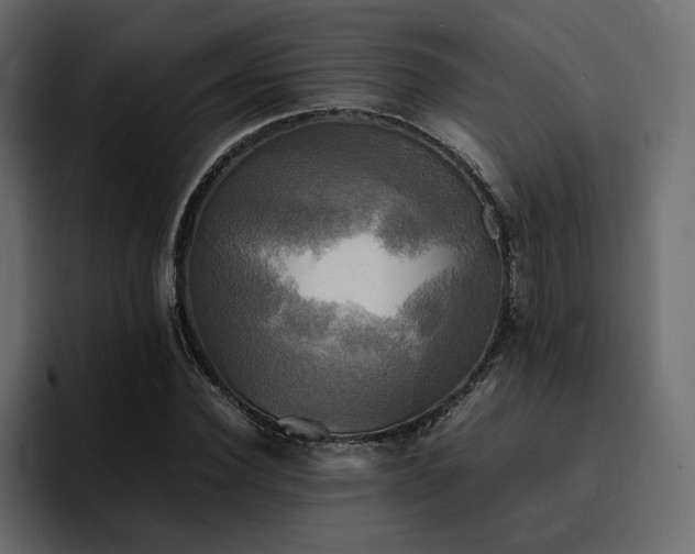 X0000095120924200712141133