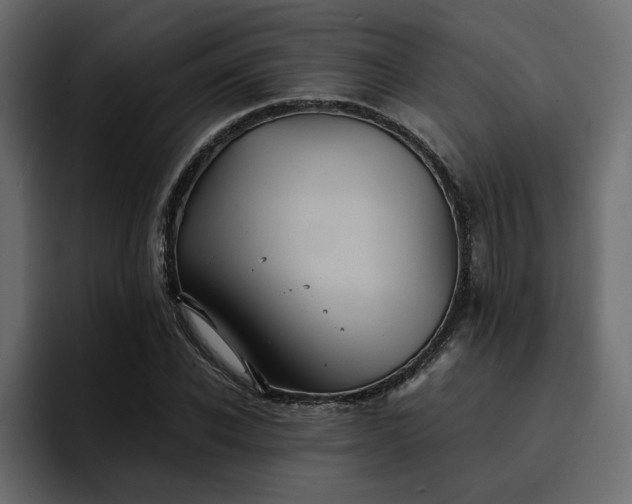 X0000095120926200712141133