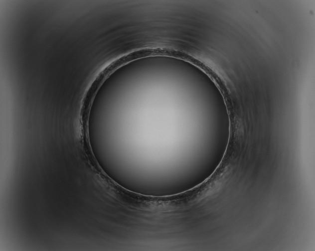 X0000095120927200712141133