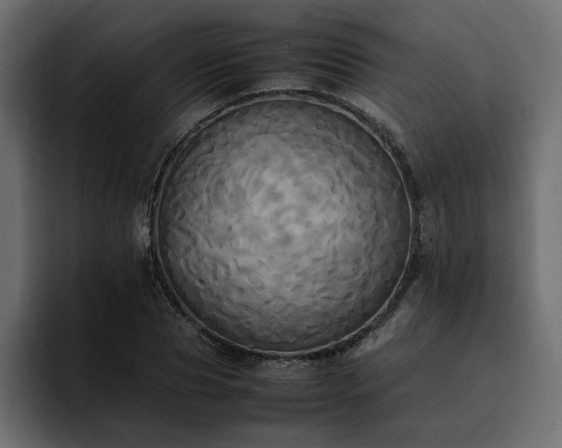 X0000095120929200712141133