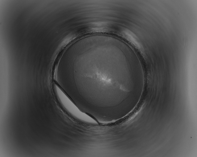 X0000095120930200712141133