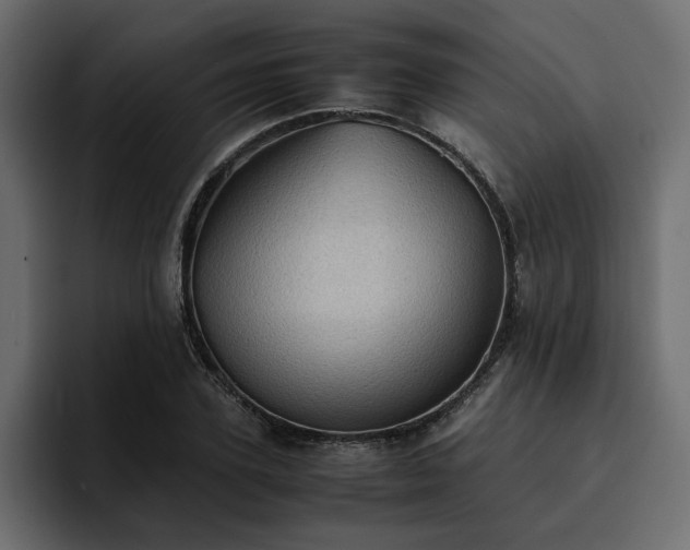 X0000095120931200712141133