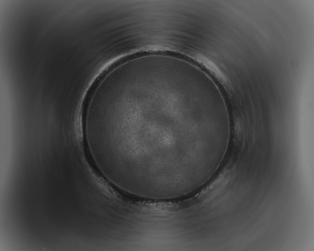 X0000095120934200712141133