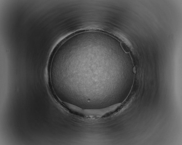 X0000095120936200712141133