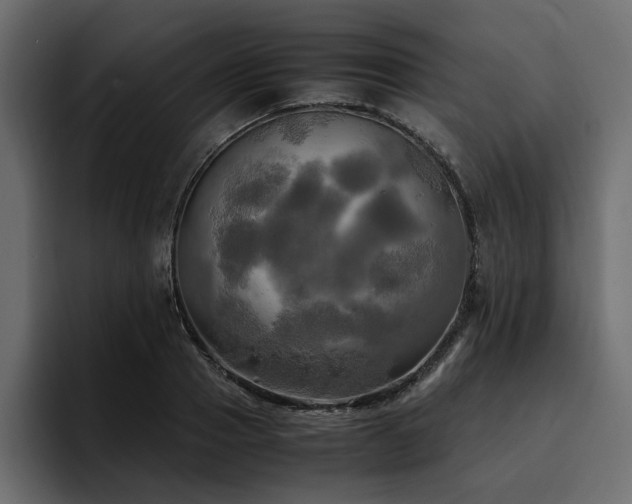 X0000095120937200712141133