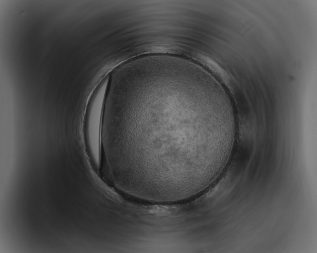 X0000095120938200712141133