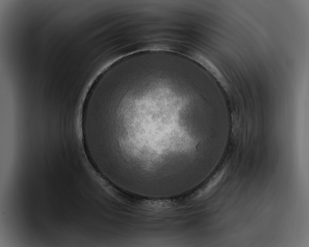 X0000095120939200712141133