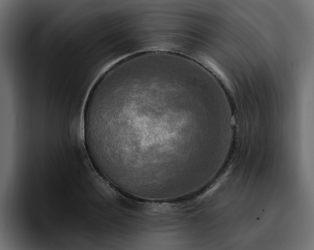 X0000095120940200712141133