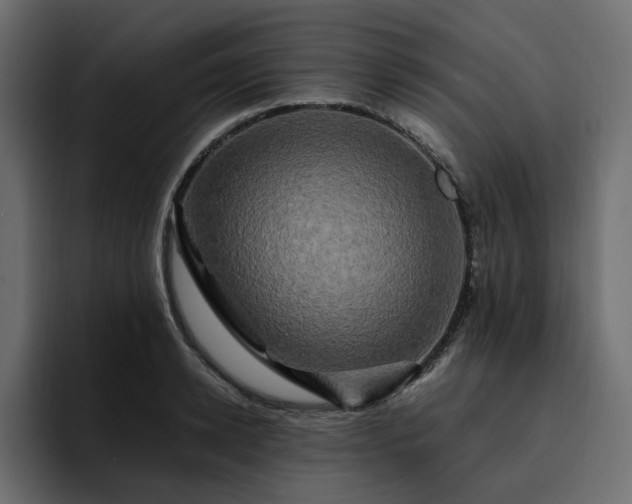 X0000095120942200712141133