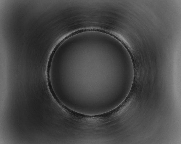 X0000095120943200712141133