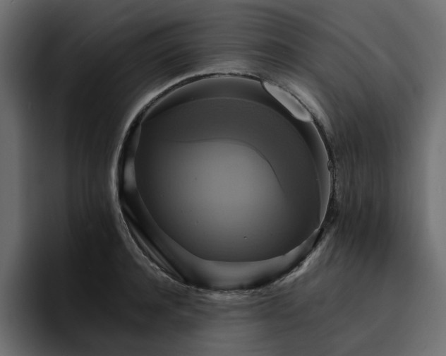 X0000095120944200712141133