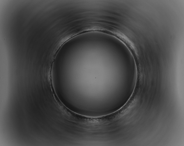 X0000095120945200712141133