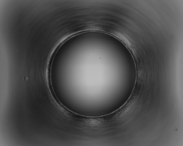 X0000095120947200712141133