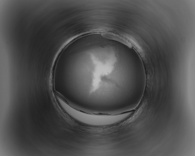 X0000095120948200712141133