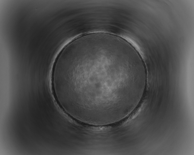 X0000095120949200712141133