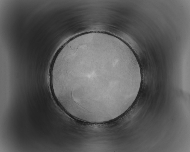 X0000095120950200712141133