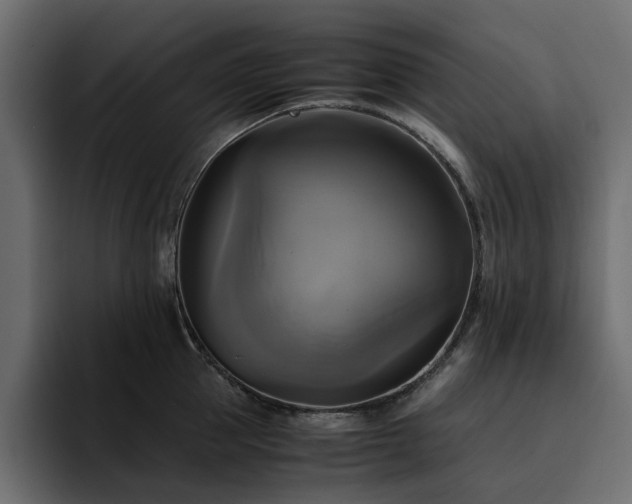 X0000095120953200712141133