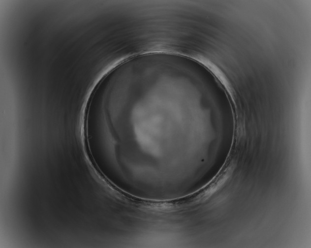 X0000095120957200712141133