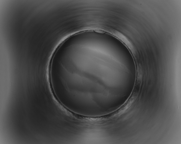 X0000095120958200712141133