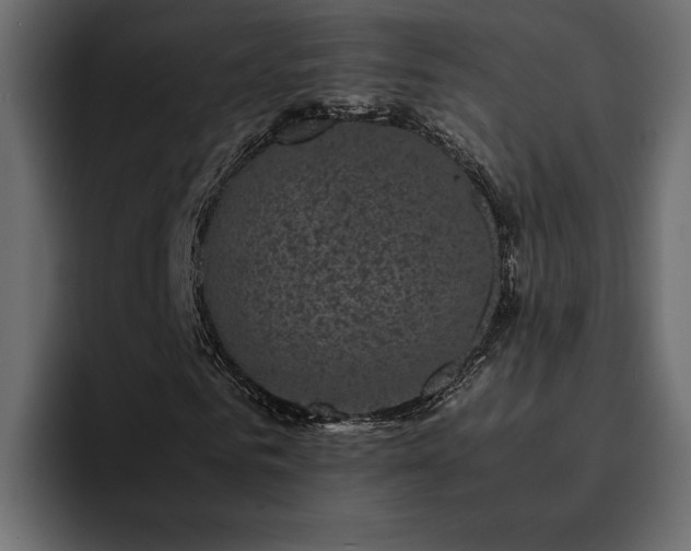 X0000095120961200712141133