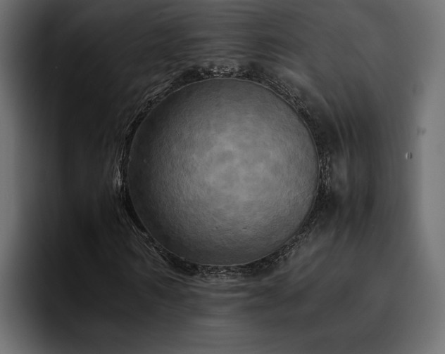 X0000095120962200712141133