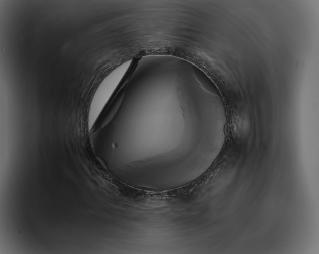 X0000095120964200712141133