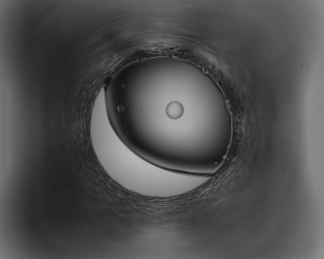 X0000095120965200712141133