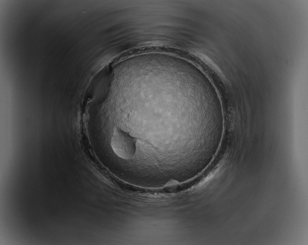 X0000095120969200712141132