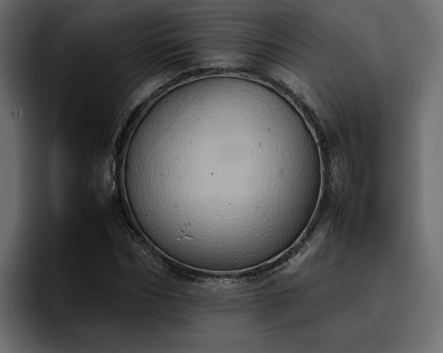 X0000095120970200712141132