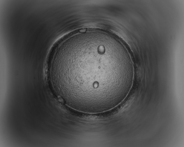 X0000095120971200712141132