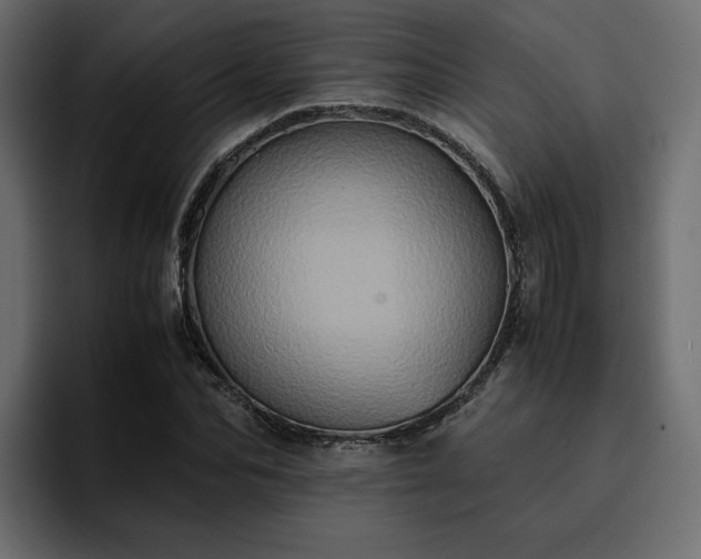 X0000095120974200712141132