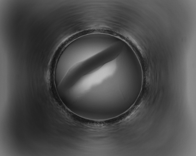 X0000095120975200712141132