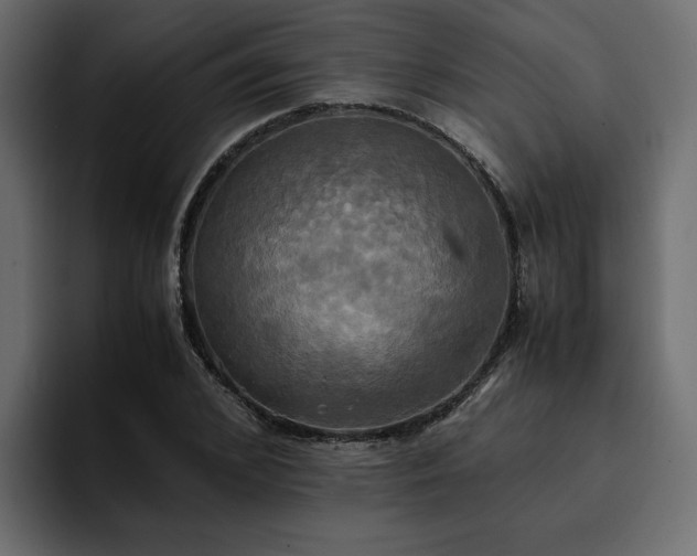 X0000095120976200712141132