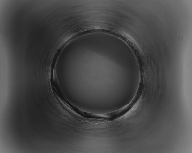 X0000095120977200712141132